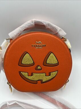 Coach Pumpkin Canteen Crossbody 2024